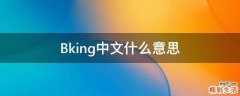 Bking中文什么意思