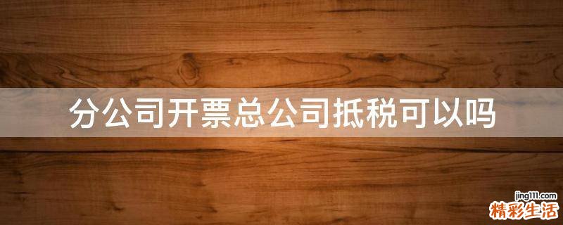 分公司开票总公司抵税可以吗