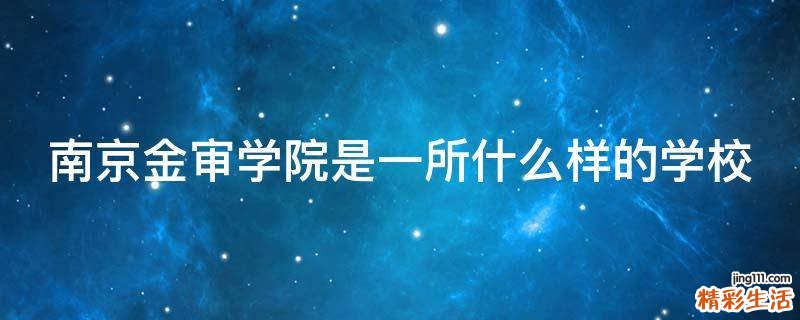 南京金审学院是一所什么样的学校