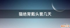 猫绝育戴头套几天