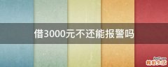 借3000元不还能报警吗