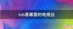 tvb是哪里的电视台