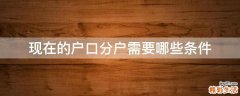 现在的户口分户需要哪些条件