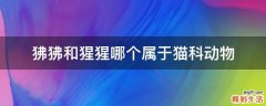 狒狒和猩猩哪个属于猫科动物