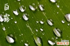 2023年白露是几月几号 2023年白露过后会很热吗