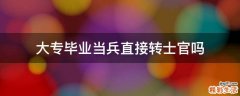 大专毕业当兵直接转士官吗