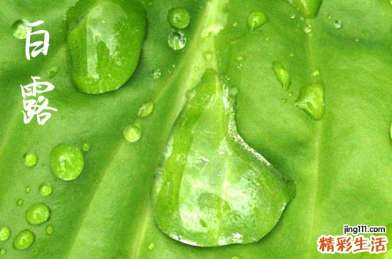 2023年白露期间的温度 2023年白露还热吗