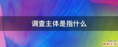 调查主体是指什么