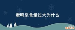 蛋鸭采食量过大为什么