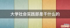大学社会实践部是干什么的