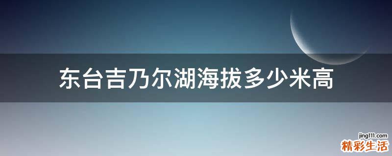 东台吉乃尔湖海拔多少米高