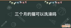 三个月的猫可以洗澡吗
