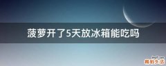 菠萝开了5天放冰箱能吃吗