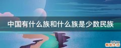 中国有什么族和什么族是少数民族