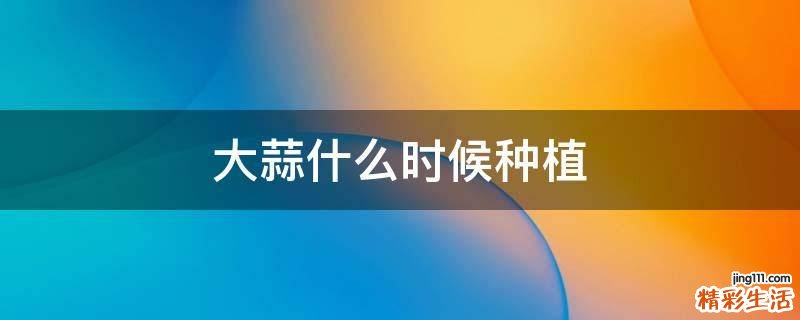 大蒜什么时候种植
