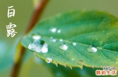 白露节气气温多少度 2023年白露后穿多厚衣物