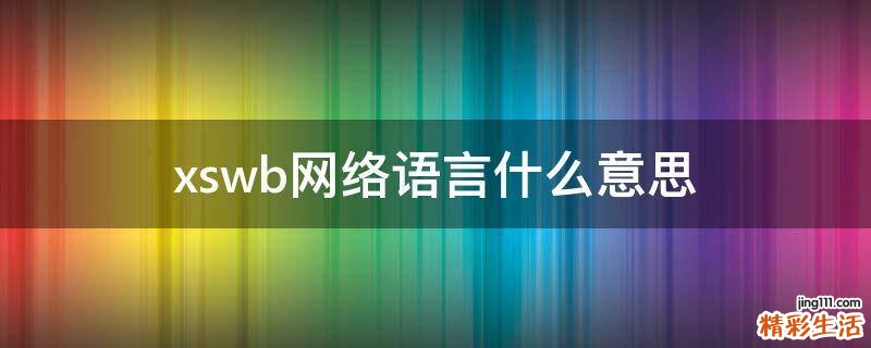 xswb网络语言什么意思