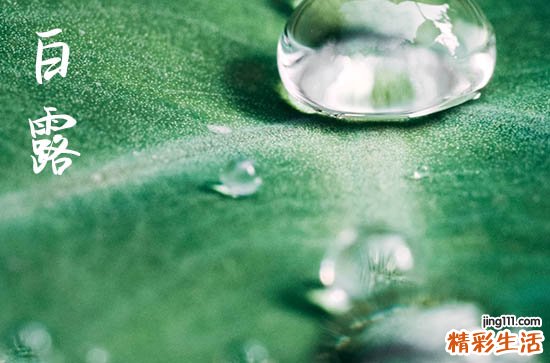 2023年白露后13天交运吗 白露后超简单的转运方法