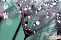 2023年白露是几月几号 白露节气的含义是什么