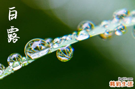 2023年白露是几月几号 白露过后还会热吗