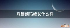 珠穆朗玛峰长什么样