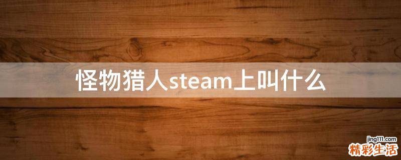 怪物猎人steam上叫什么