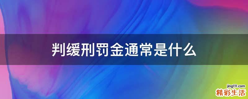 判缓刑罚金通常是什么