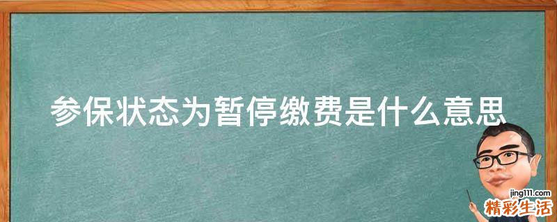 参保状态为暂停缴费是什么意思
