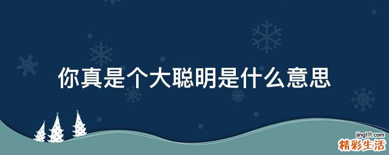 你真是个大聪明是什么意思