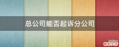 总公司能否起诉分公司