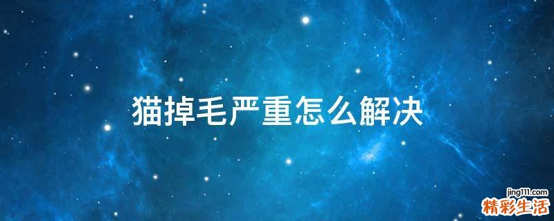 猫掉毛严重怎么解决