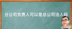 分公司负责人可以是总公司法人吗