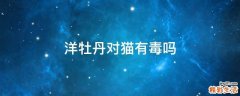 洋牡丹对猫有毒吗