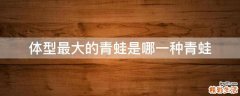 体型最大的青蛙是哪一种青蛙