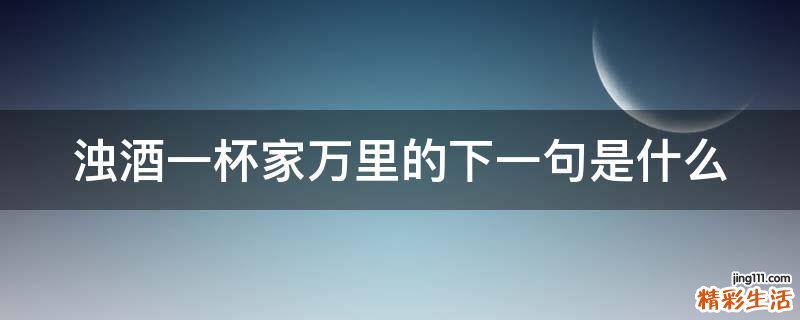 浊酒一杯家万里的下一句是什么