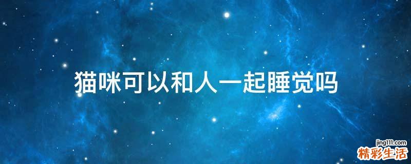 猫咪可以和人一起睡觉吗