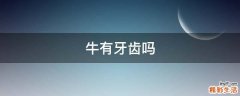 牛有牙齿吗