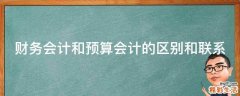 财务会计和预算会计的区别和联系