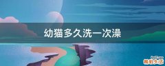 幼猫多久洗一次澡