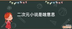 二次元小说是啥意思