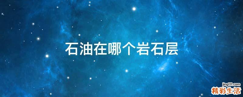 石油在哪个岩石层