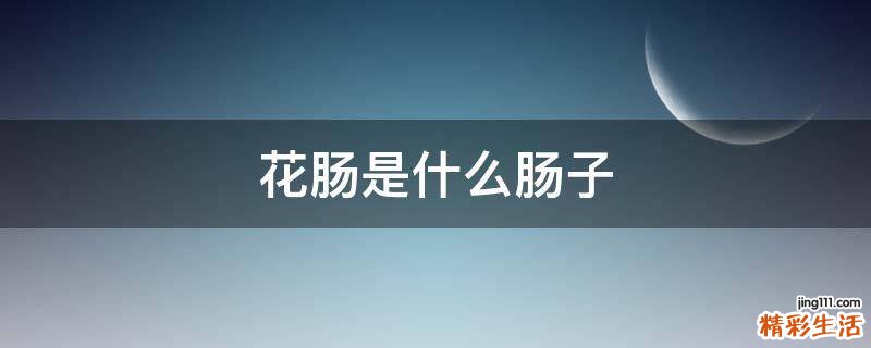 花肠是什么肠子