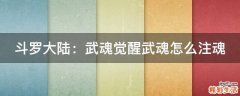 斗罗大陆：武魂觉醒武魂怎么注魂