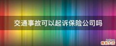 交通事故可以起诉保险公司吗