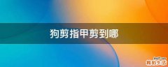 狗剪指甲剪到哪