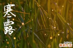 2023年寒露节气是几月几日 寒露节气2023具体时间