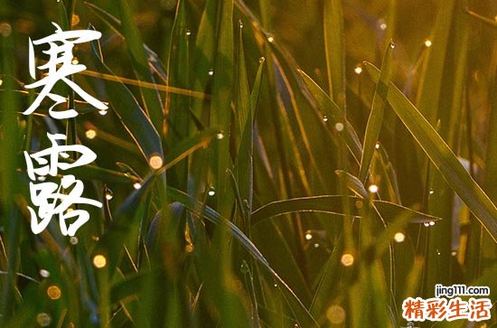 2023年寒露节气是几月几日 寒露节气2023具体时间