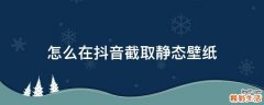 怎么在抖音截取静态壁纸