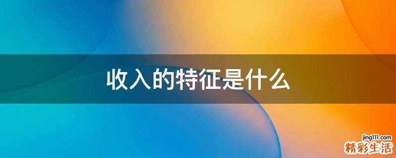 收入的特征是什么