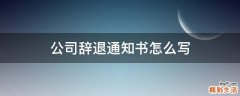 公司辞退通知书怎么写